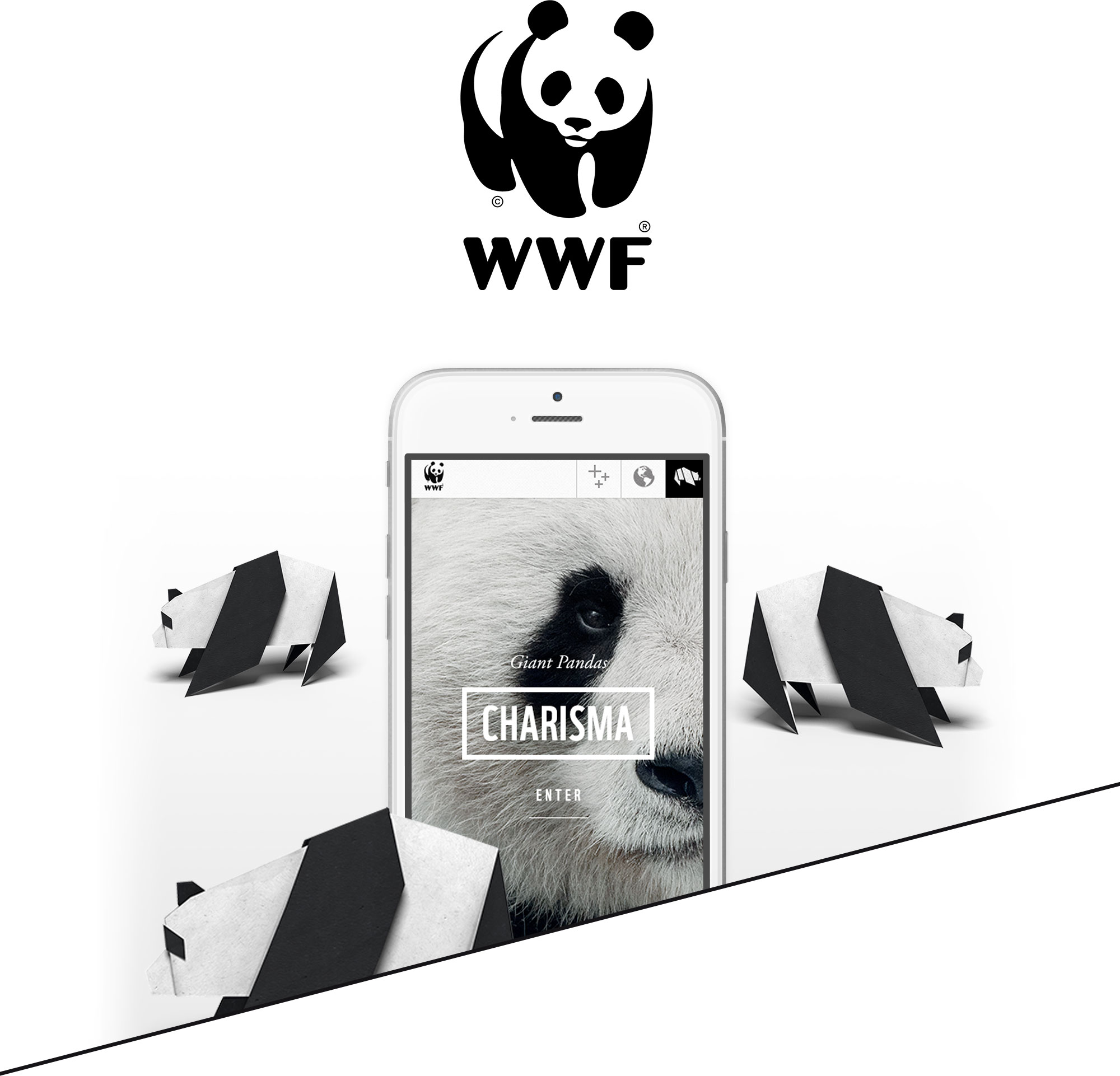 WWF case study by Tendigi